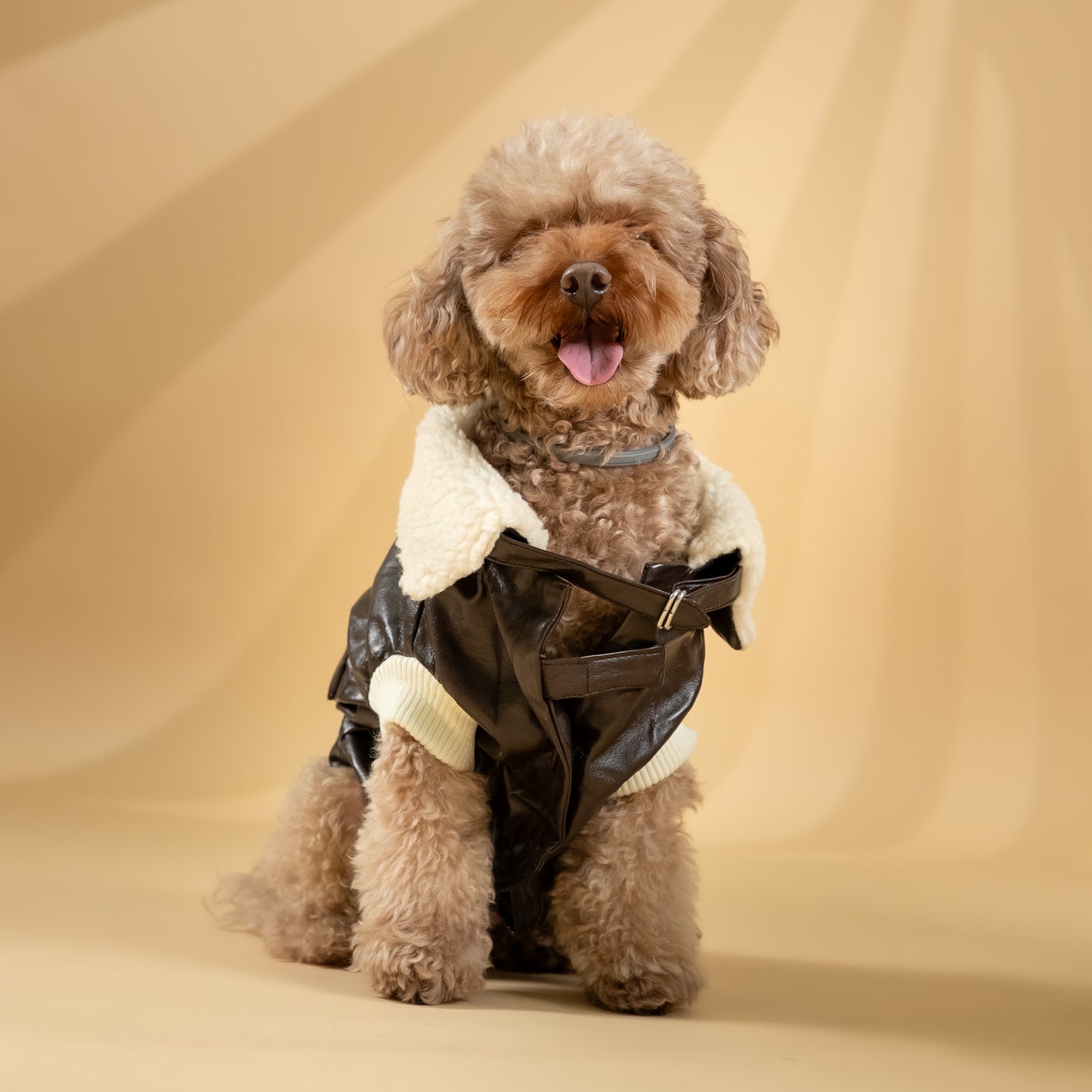 Montone "Aviatore" per Cani