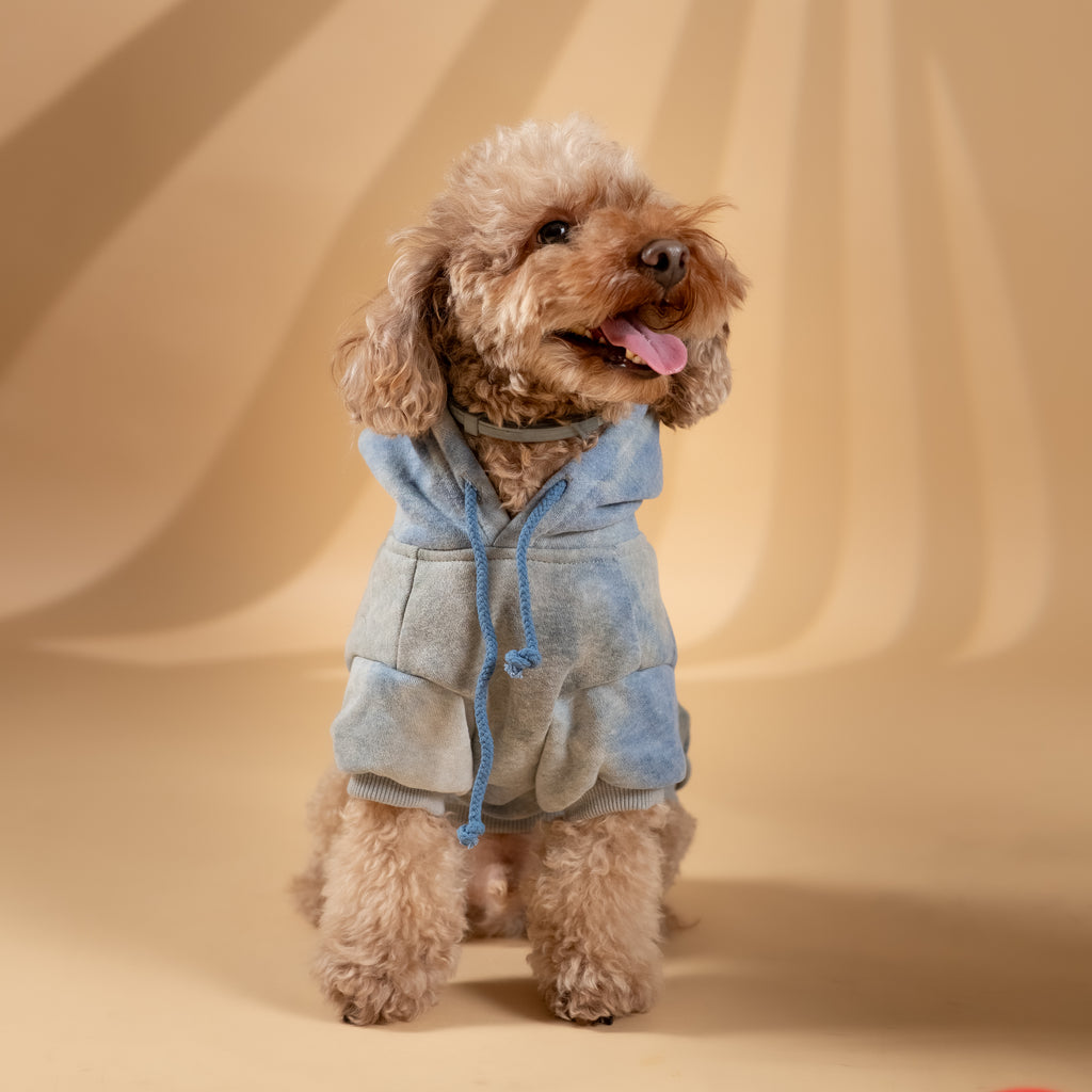 Felpa "Jolie" per Cani - Blu