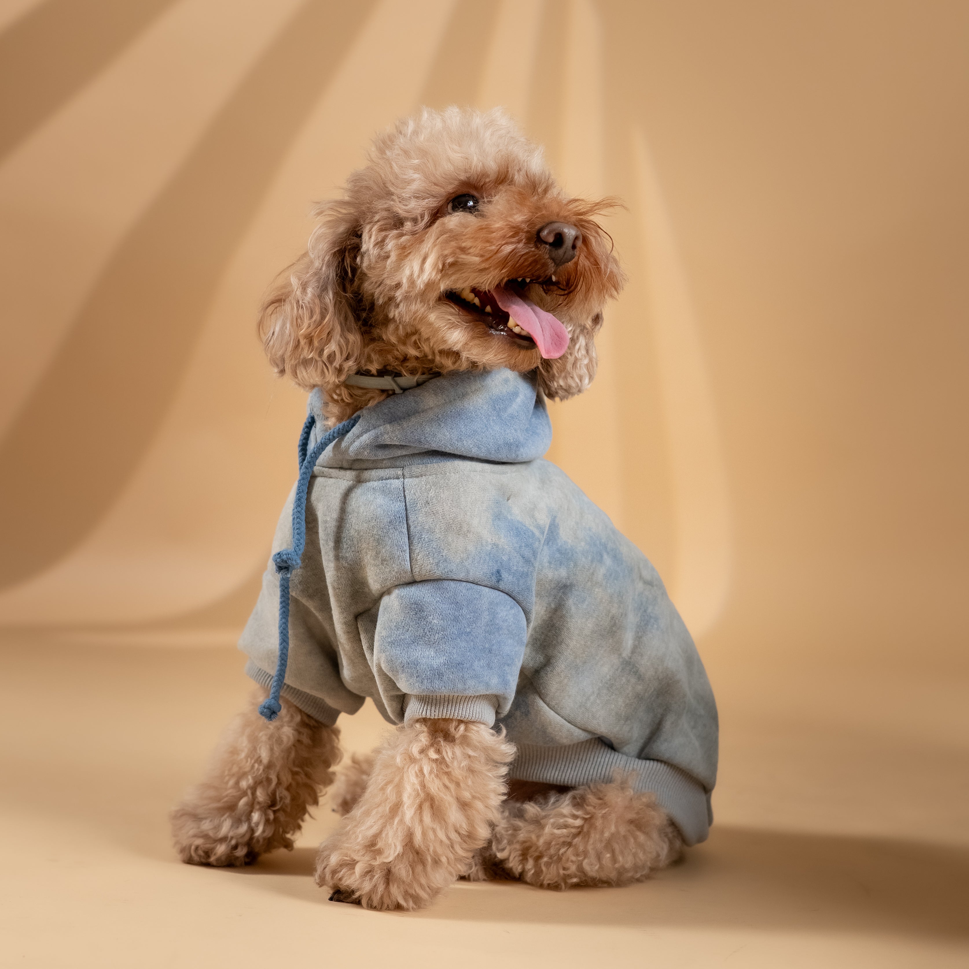 Felpa "Jolie" per Cani - Blu