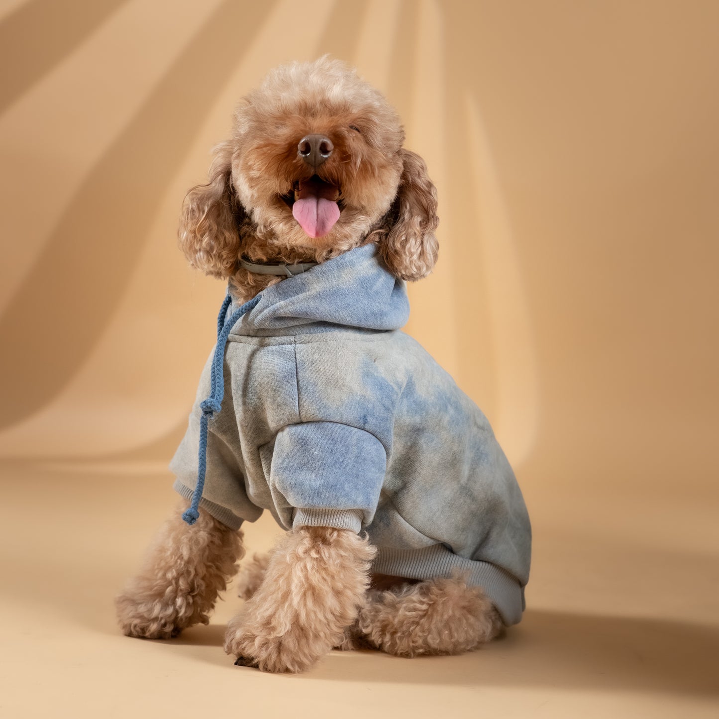 Felpa "Jolie" per Cani - Blu