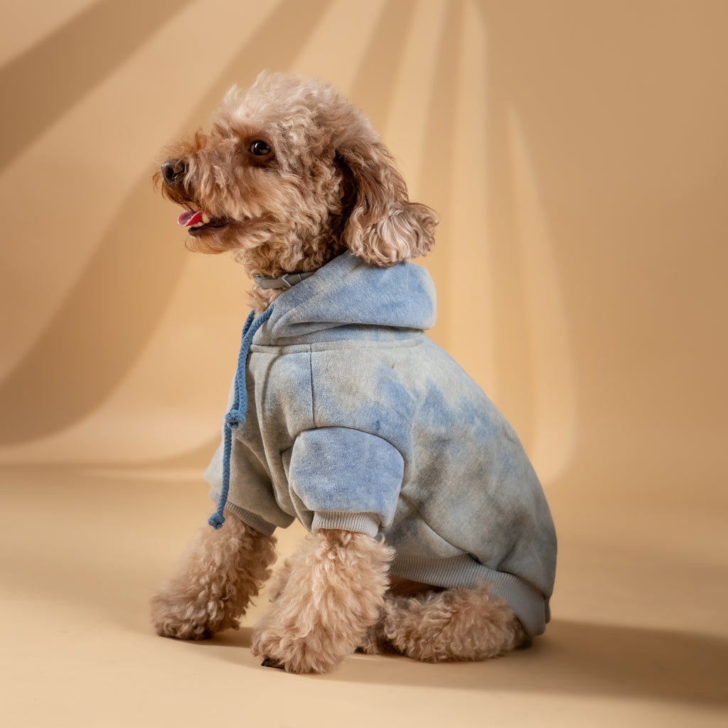 Felpa "Jolie" per Cani - Blu