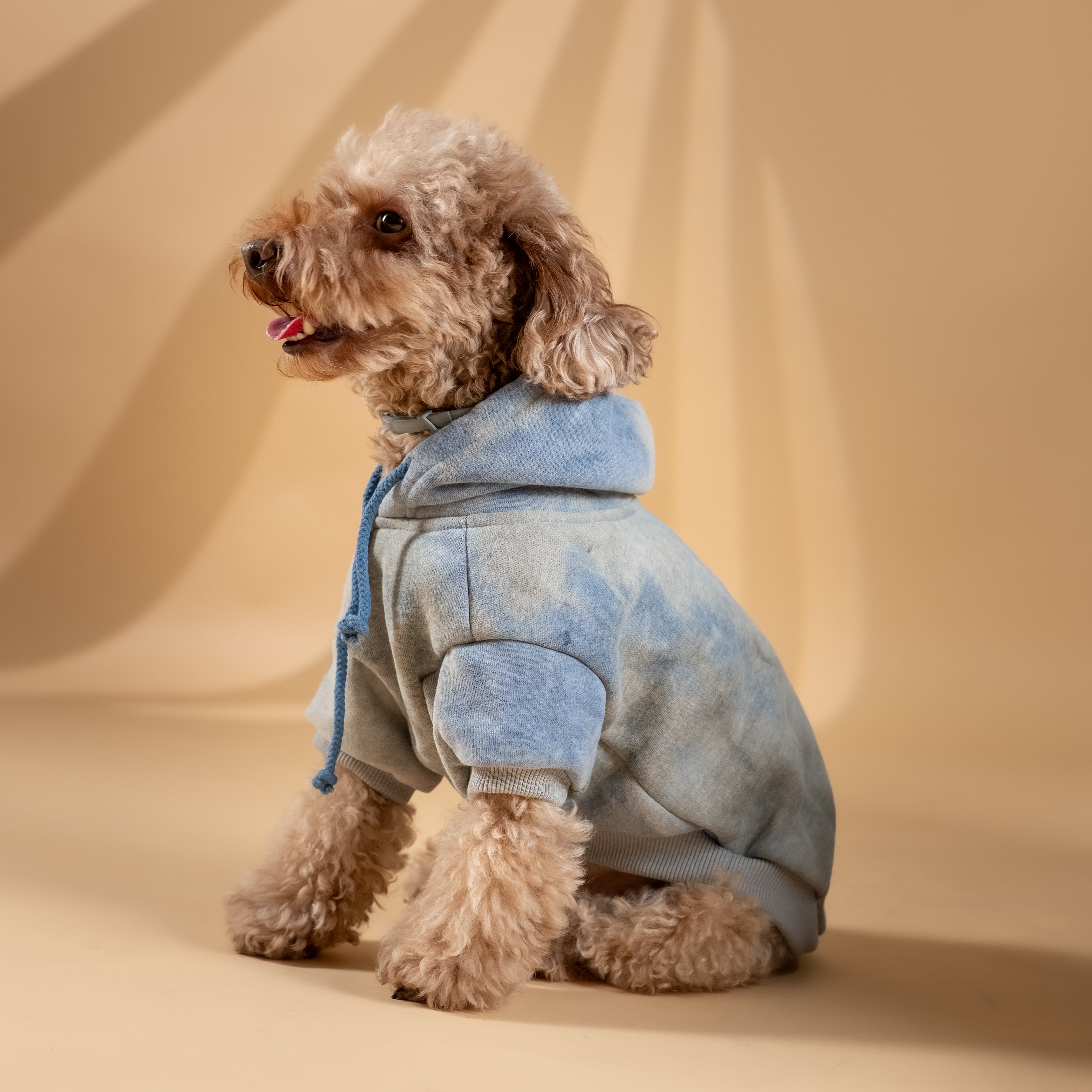 Felpa "Jolie" per Cani - Blu