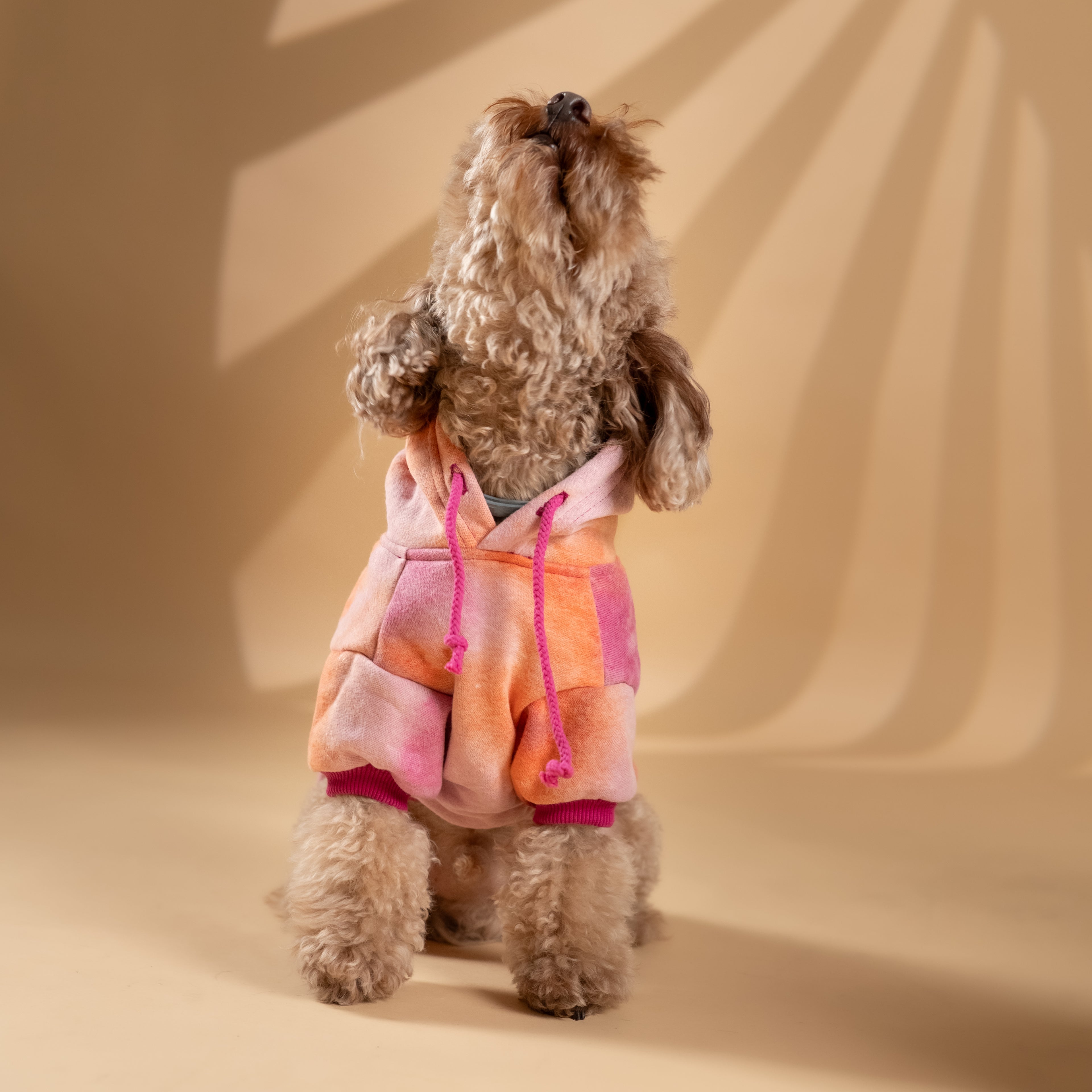 Felpa "Jolie" per Cani - Rosa