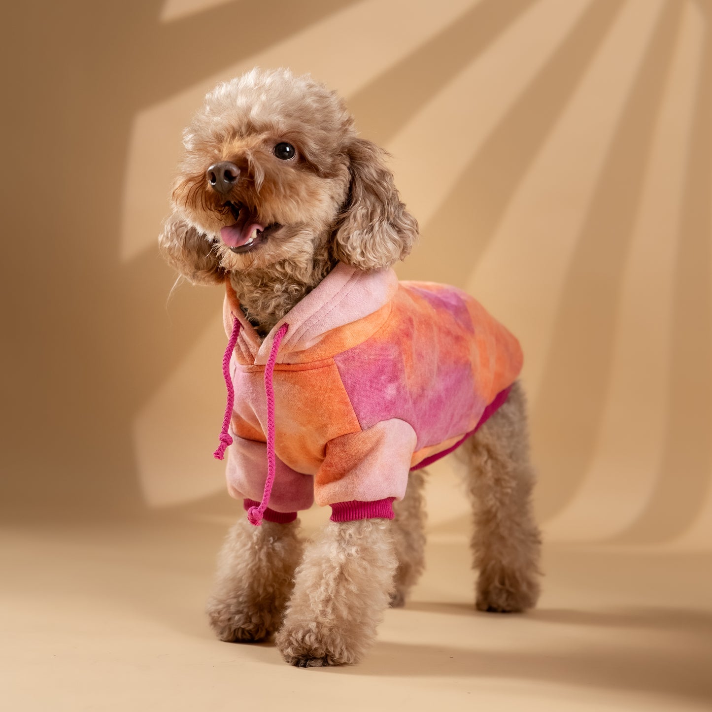 Felpa "Jolie" per Cani - Rosa