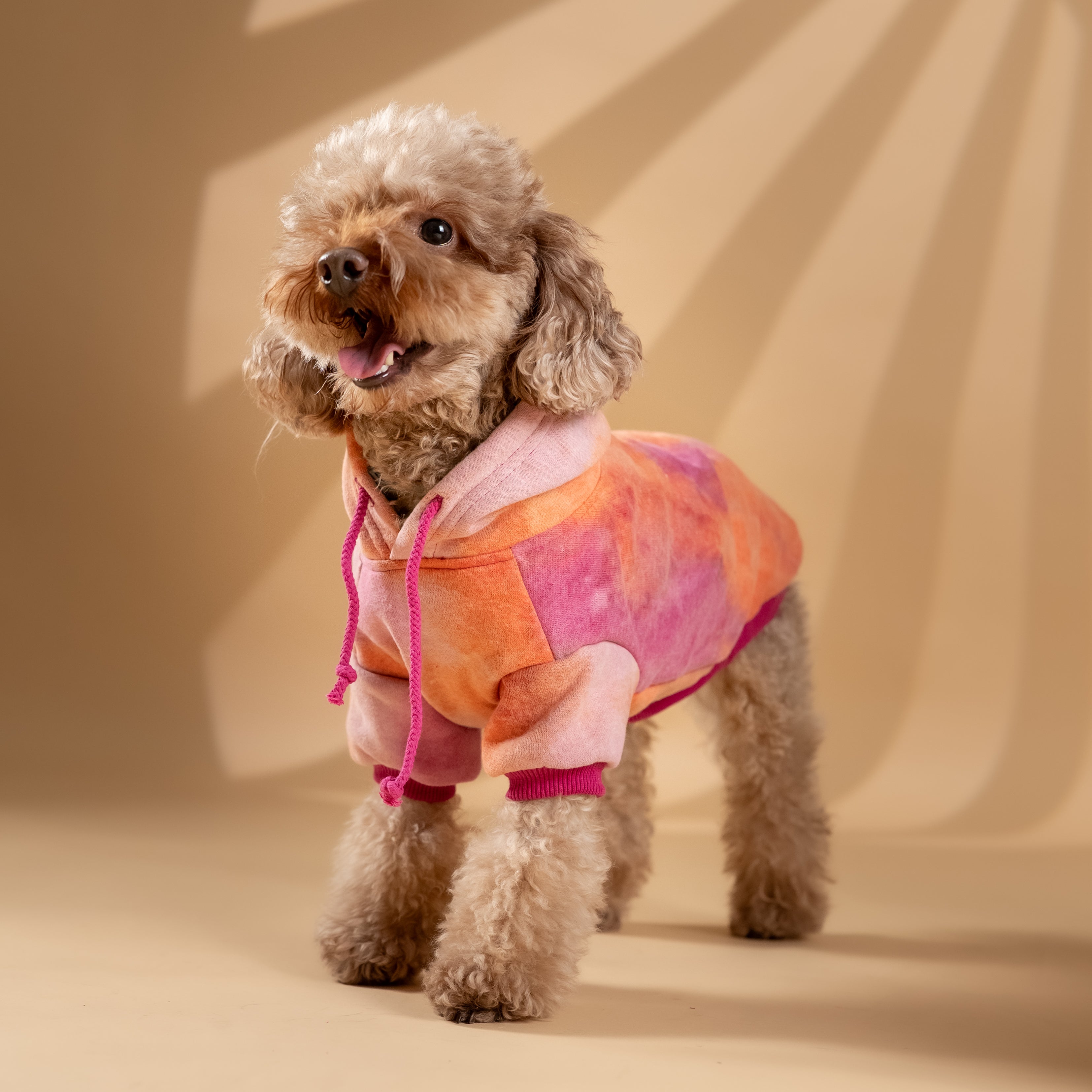 Felpa "Jolie" per Cani - Rosa