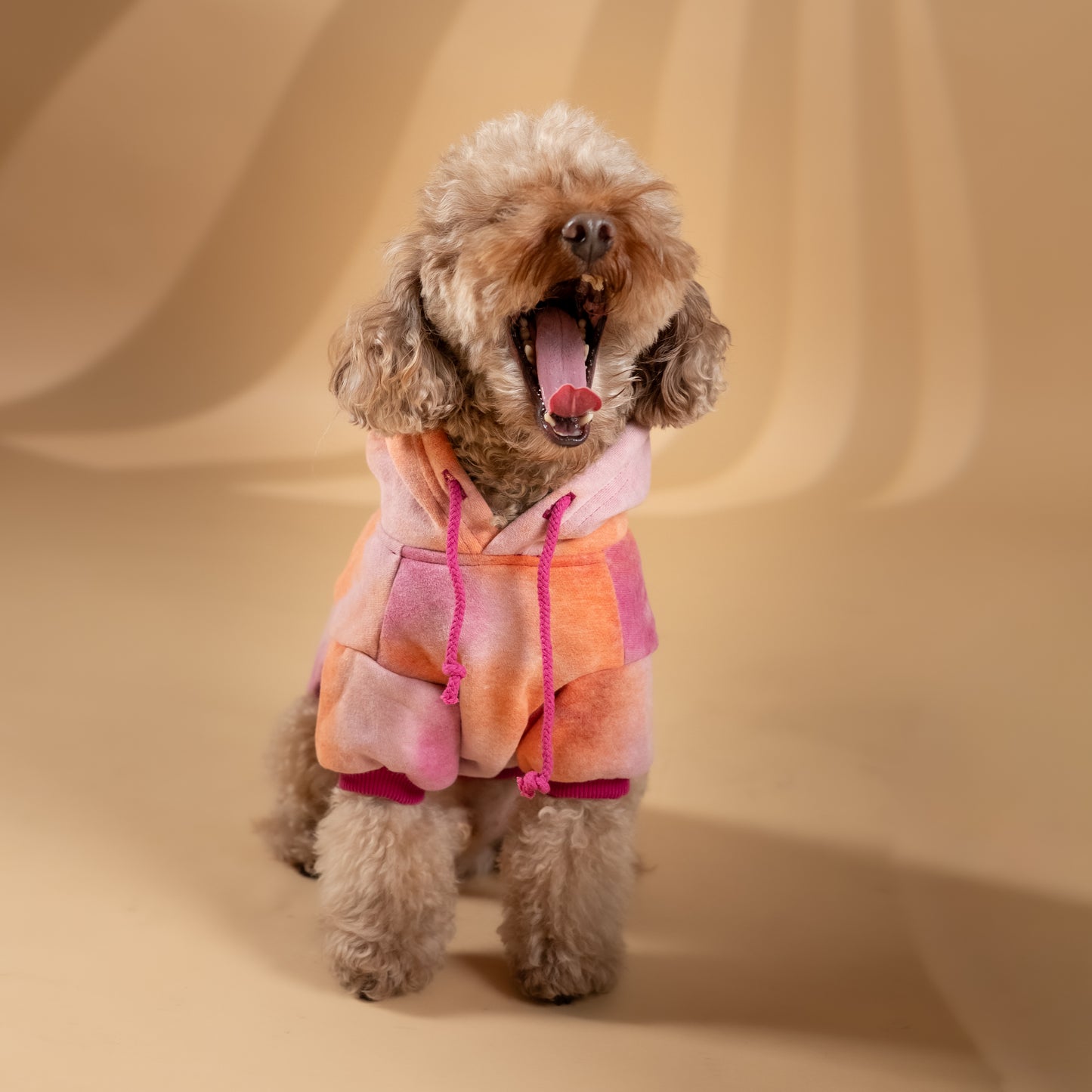 Felpa "Jolie" per Cani - Rosa