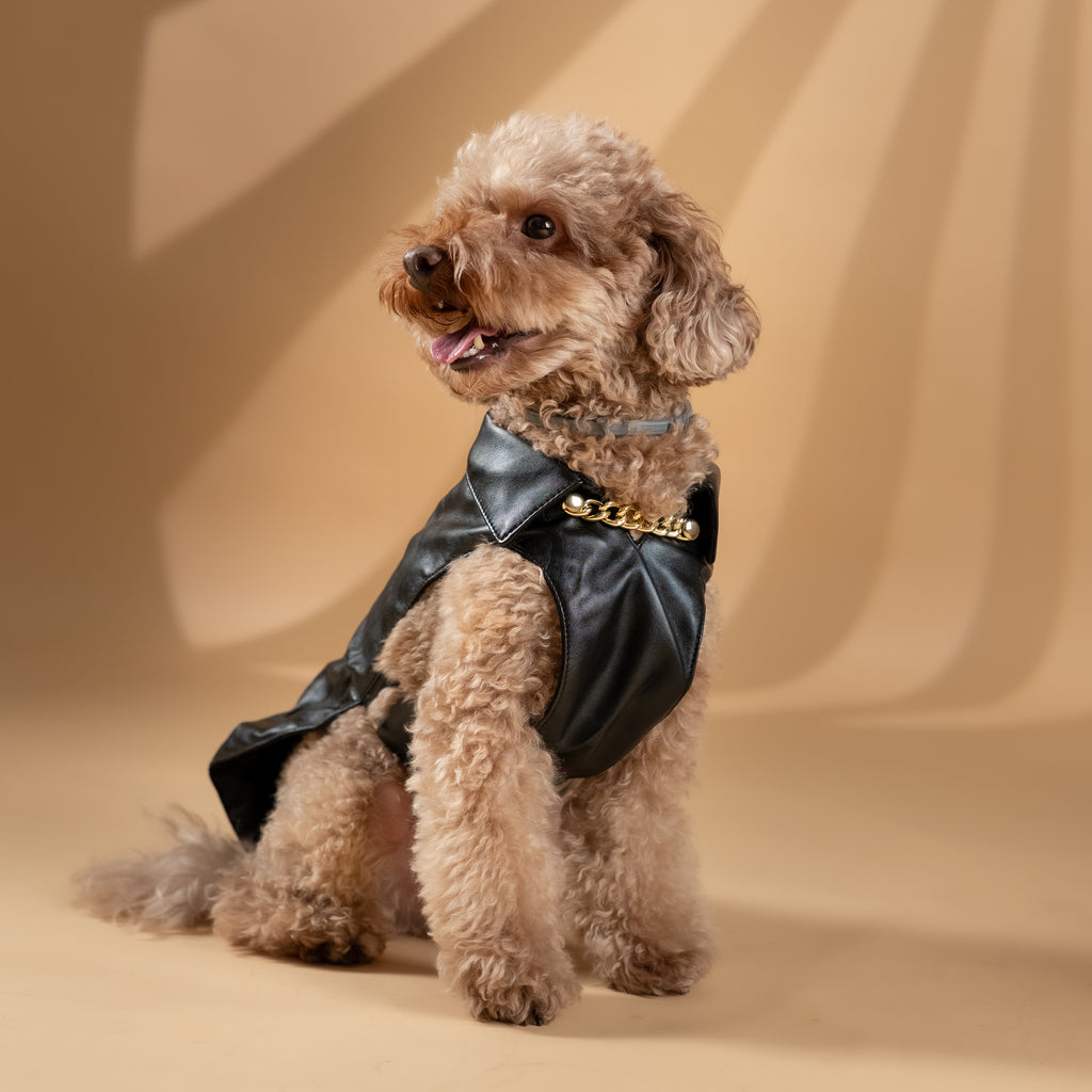 Cappottino per Cani “Le Dangerouge”