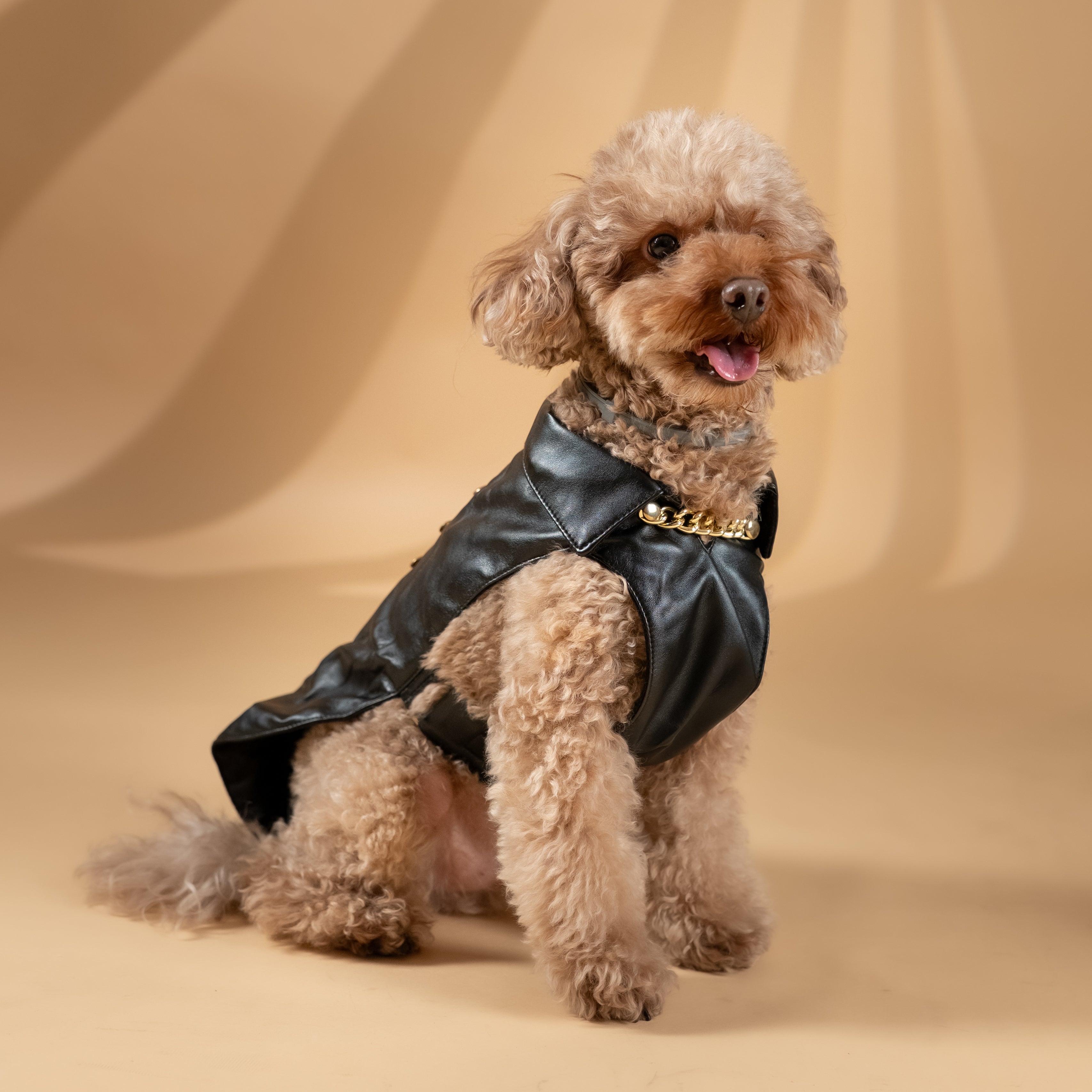 Cappottino per Cani “Le Dangerouge”