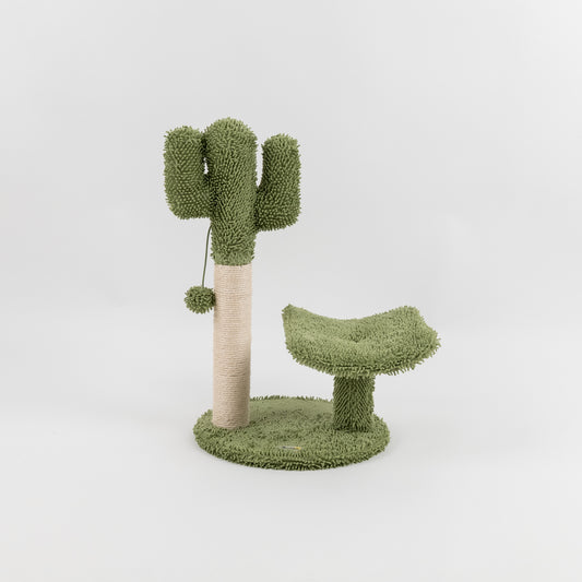 Tiragraffi per Gatti - Cactus