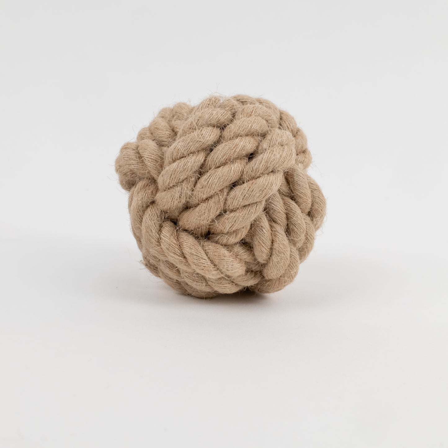 Gioco in Corda Palla