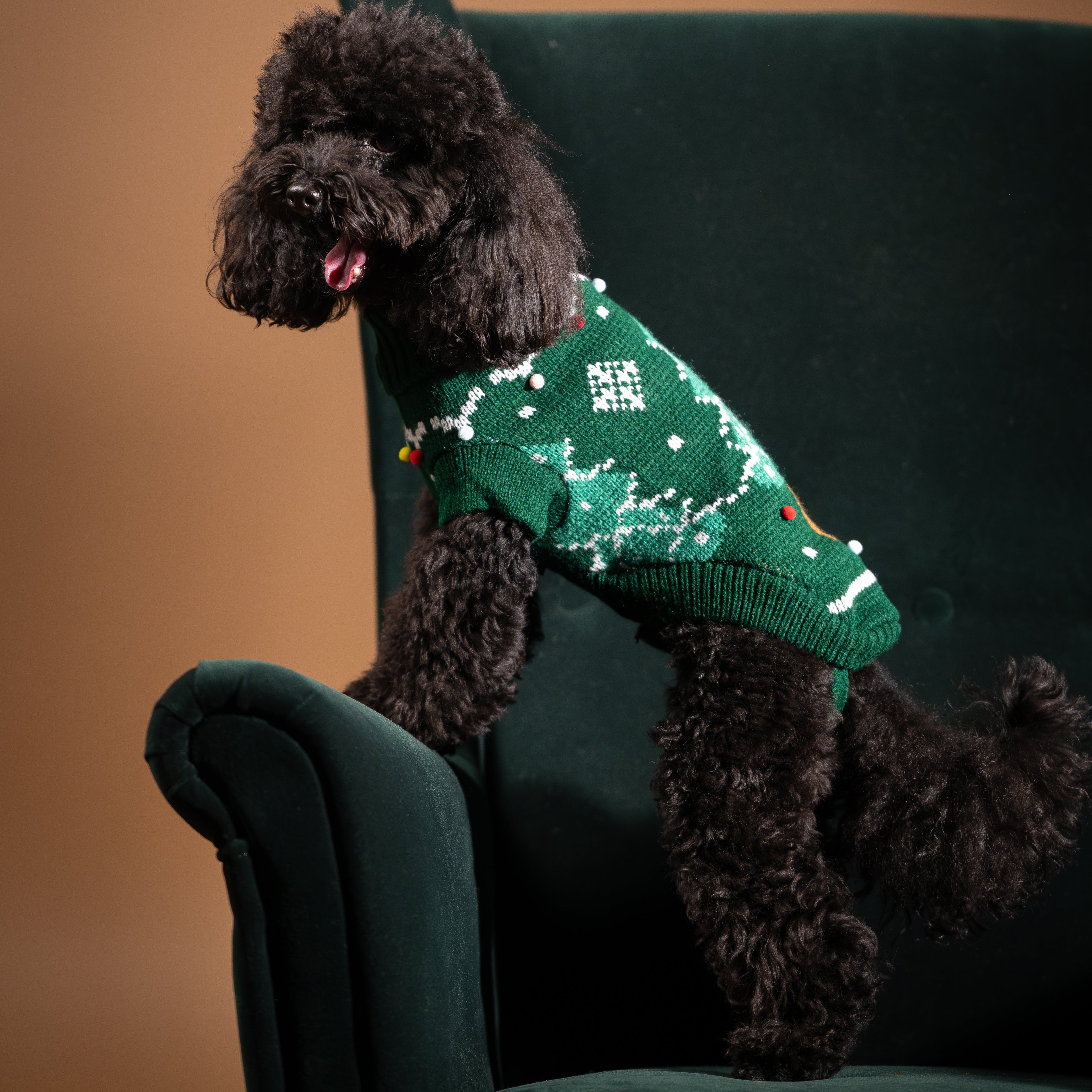 Maglioncino Dolcevita Natalizio per Cani con Albero di Natale e PomPon - Verde