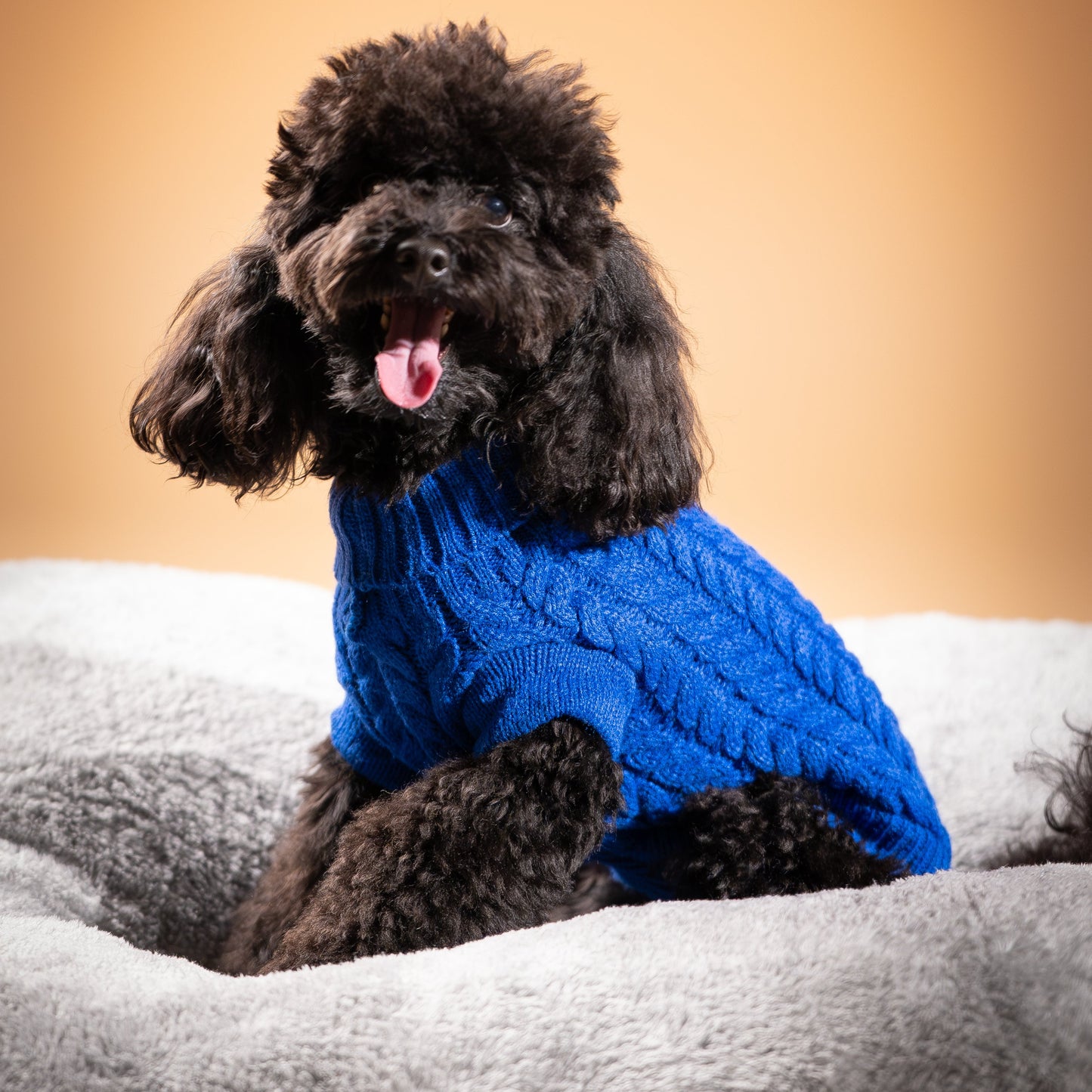 Maglioncino Dolcevita con Trama a Treccia - Blu Royal