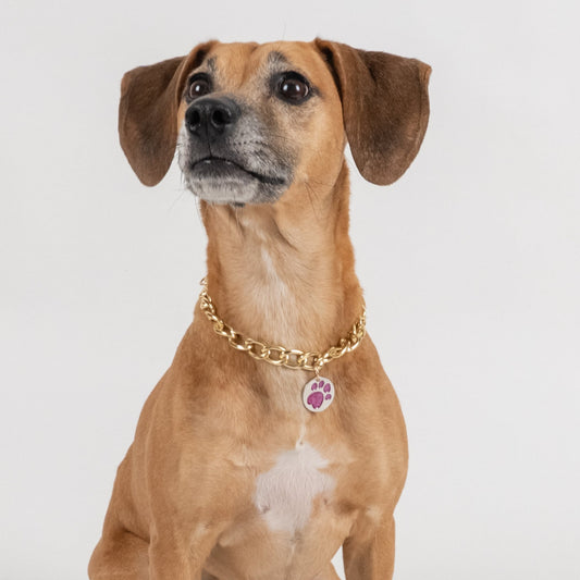 Collana per cani - Rosa ( 35 cm max )