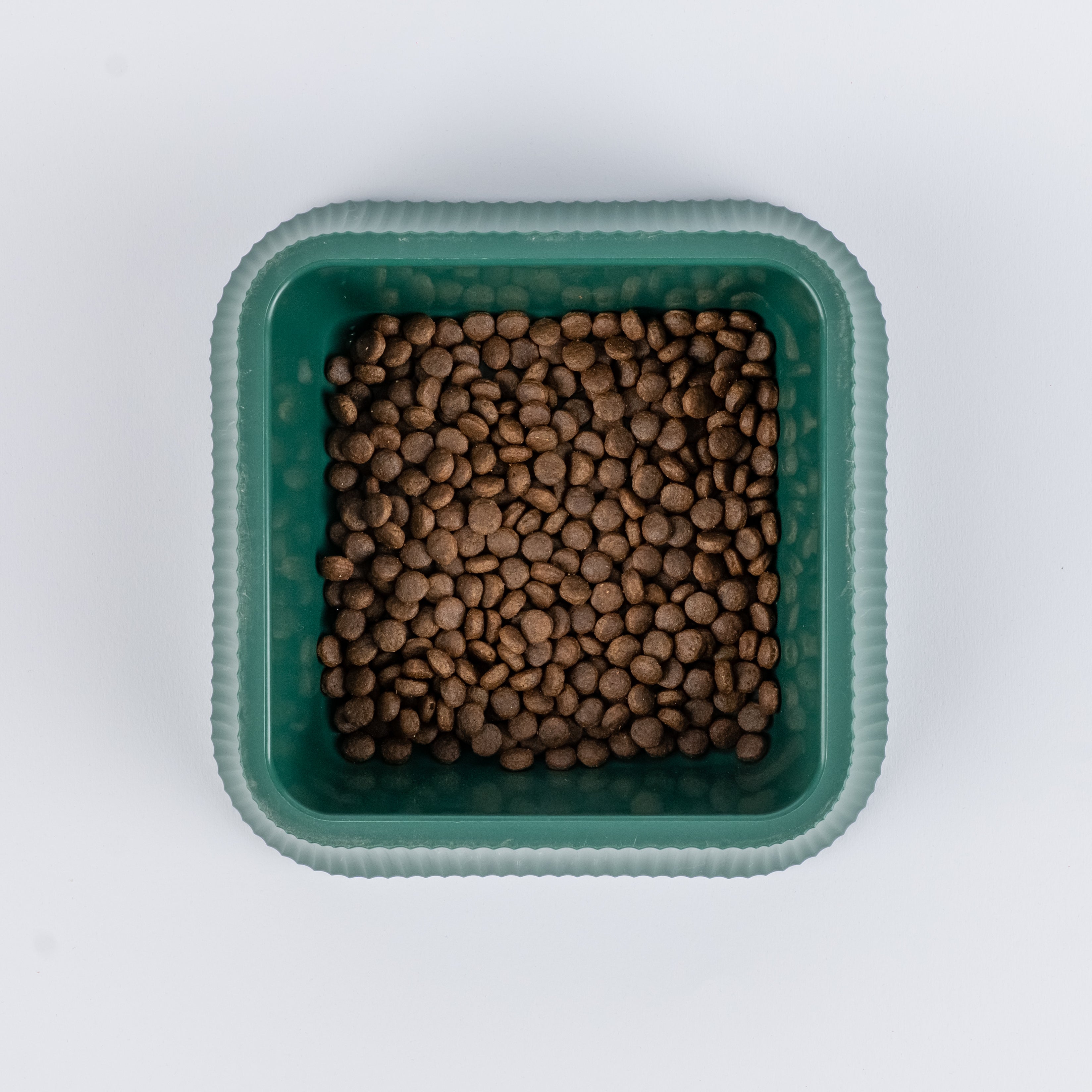 Ciotola Quadrata ideale per Cibo e Acqua - Verde