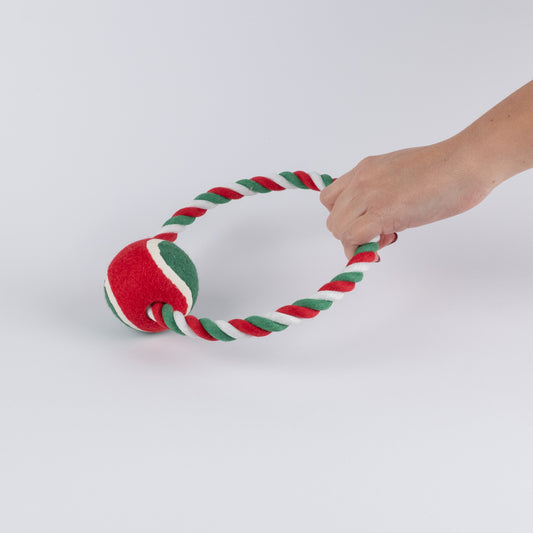 Anello in Corda con Pallina per Cani