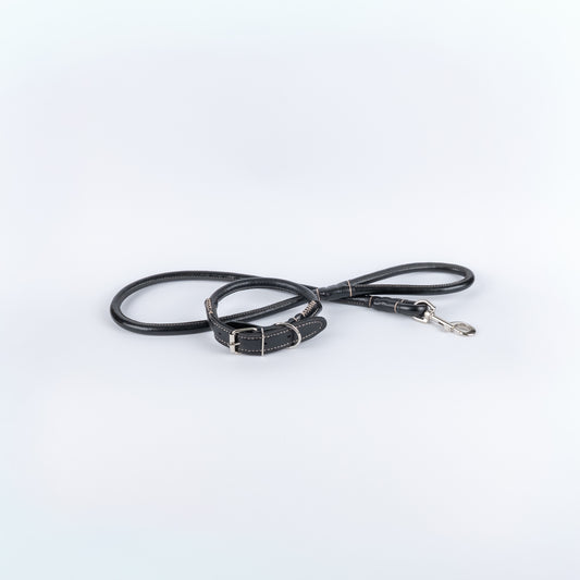 Set Collare e Guinzaglio in Ecopelle con Cuciture a Contrasto - Nero