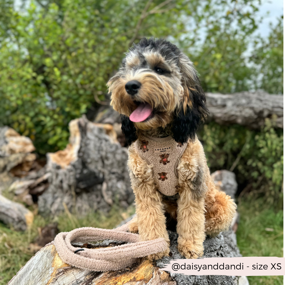 Pettorina regolabile ricamata - Theo Teddy