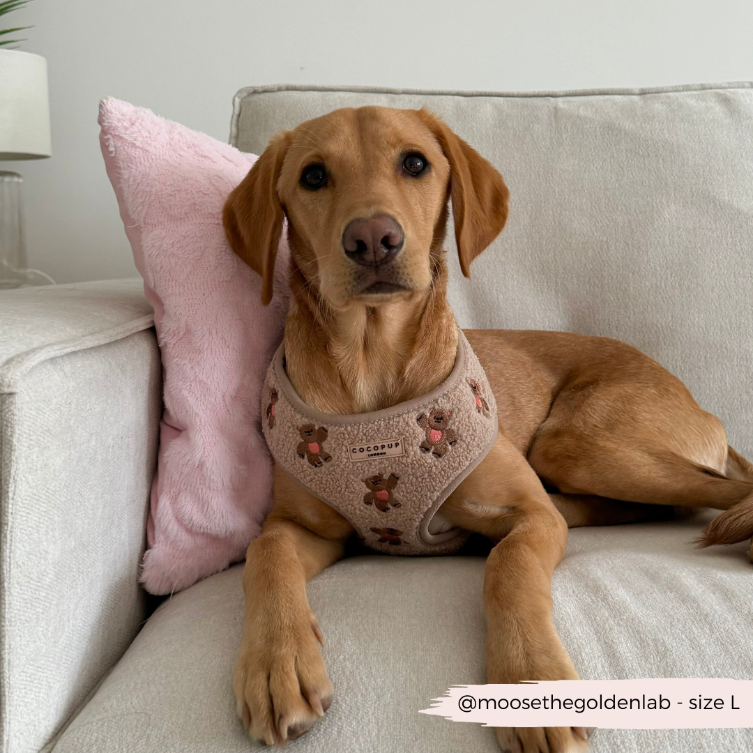 Pettorina regolabile ricamata - Theo Teddy