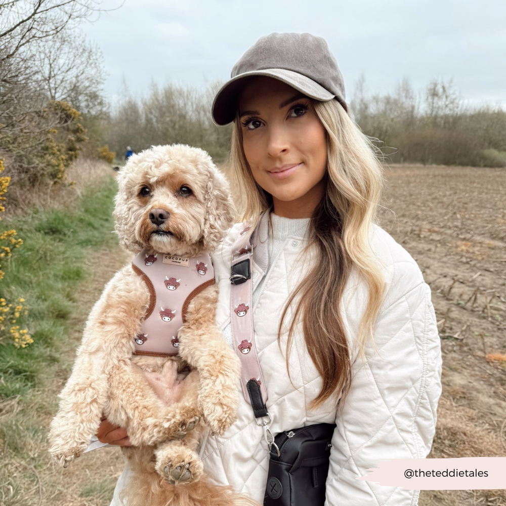 Pettorina regolabile - Harold the Highland Cow