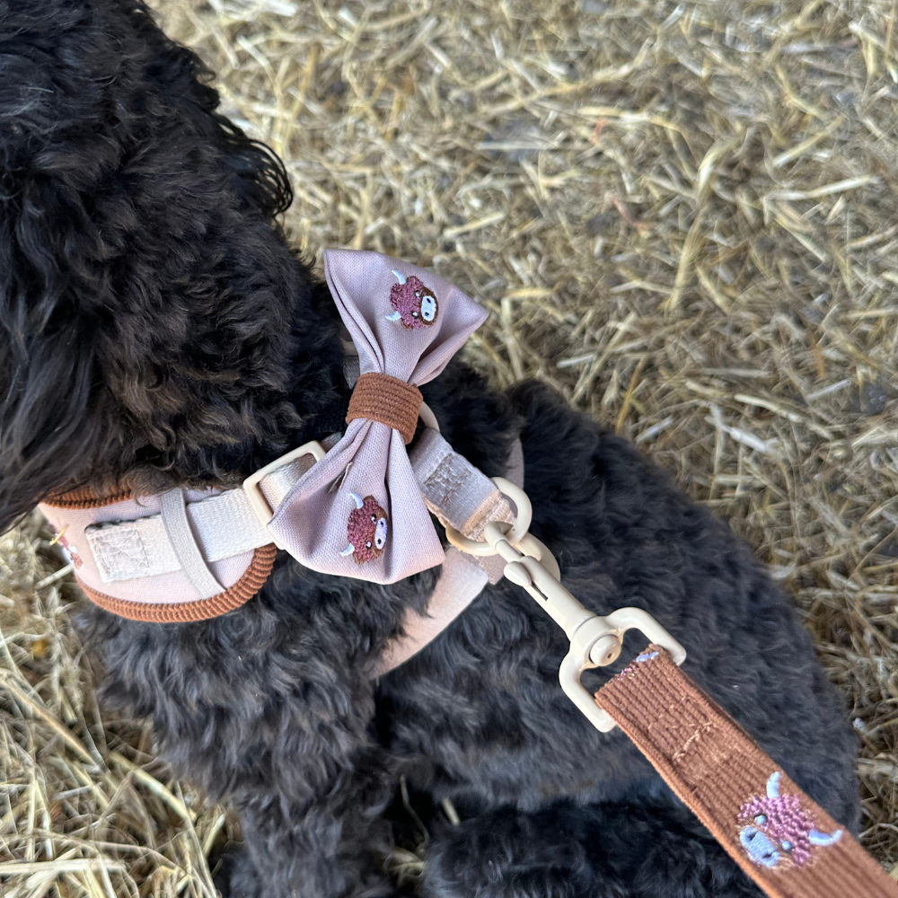 Guinzaglio - Harold the Highland Cow