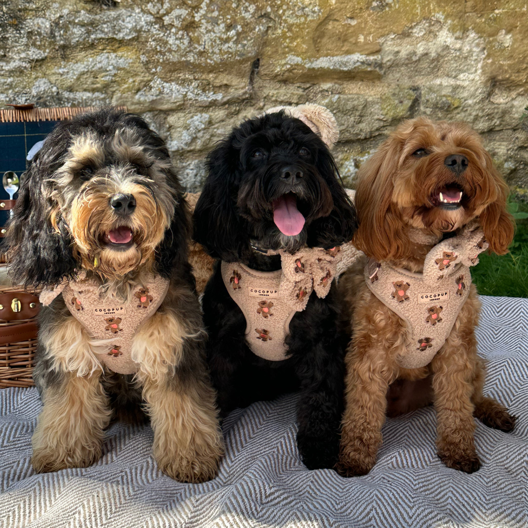 Pettorina regolabile ricamata - Theo Teddy