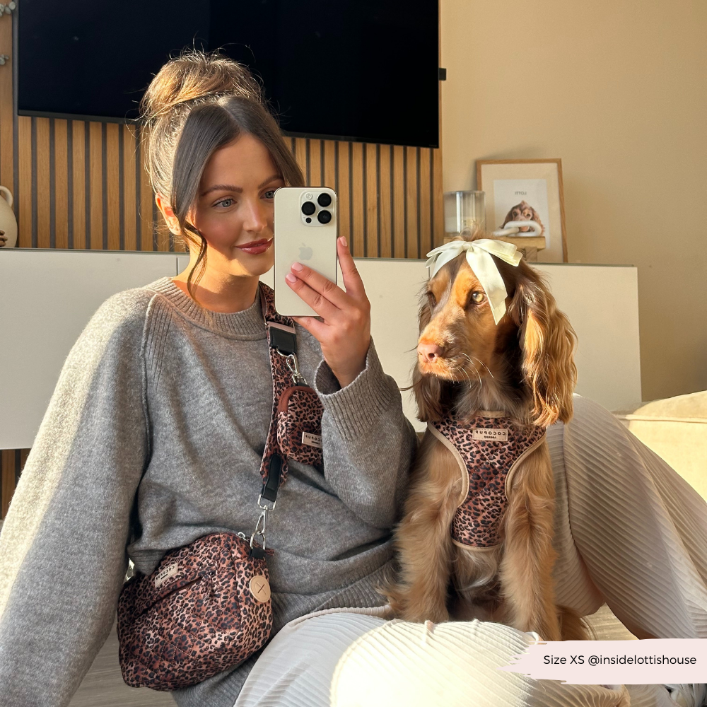 Pettorina regolabile - cucciolo di leopardo trapuntato