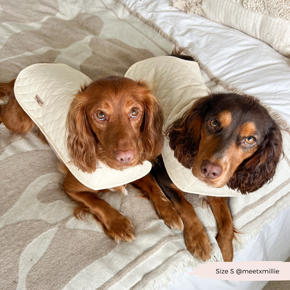 Cappotto trapuntato per cani LUXE - Creamy Chai