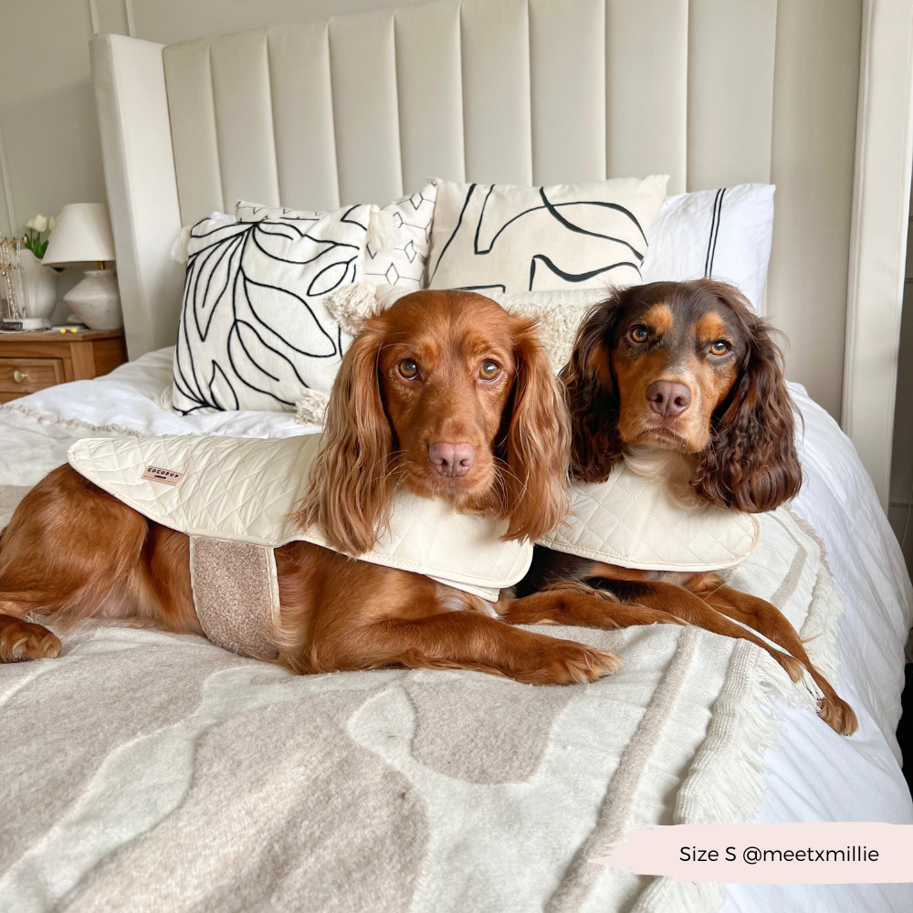 Cappotto trapuntato per cani LUXE - Creamy Chai