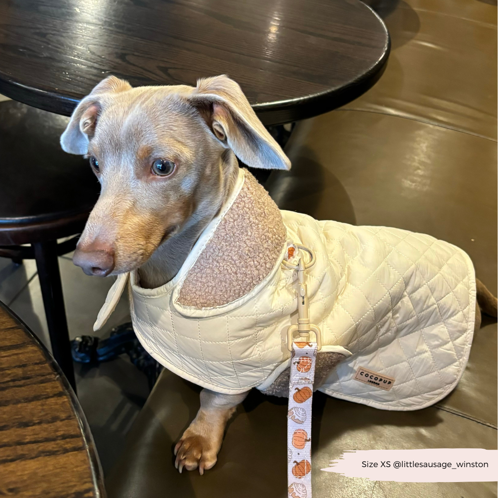 Cappotto trapuntato per cani LUXE - Creamy Chai