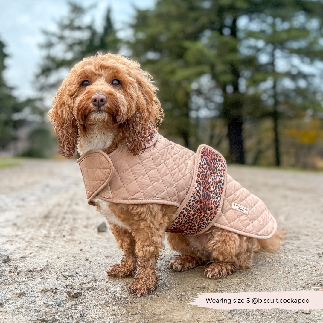 Cappotto trapuntato per cani LUXE - Cucciolo leopardato