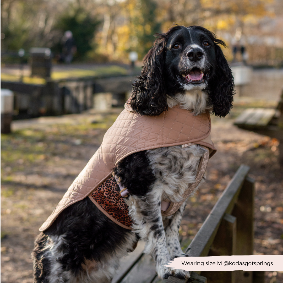 Cappotto trapuntato per cani LUXE - Cucciolo leopardato