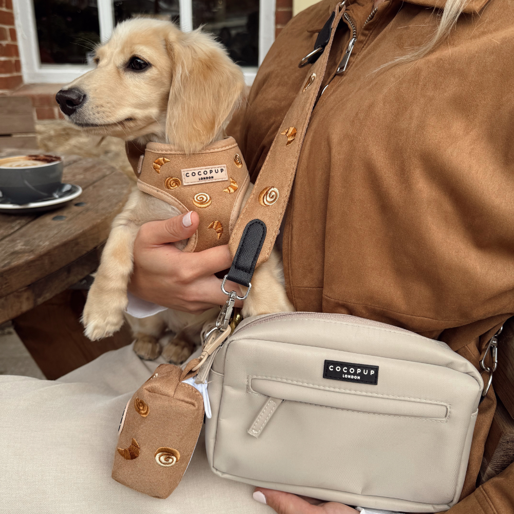 Pettorina regolabile - Pawtisserie