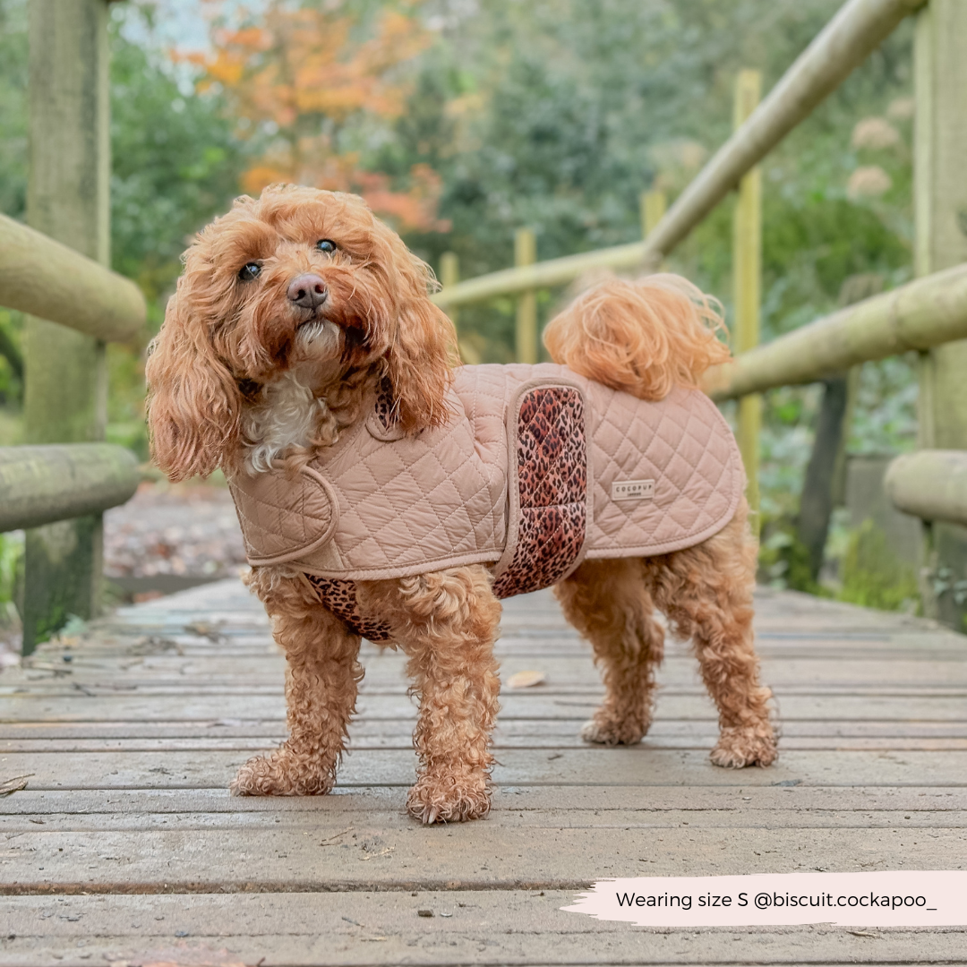 Cappotto trapuntato per cani LUXE - Cucciolo leopardato