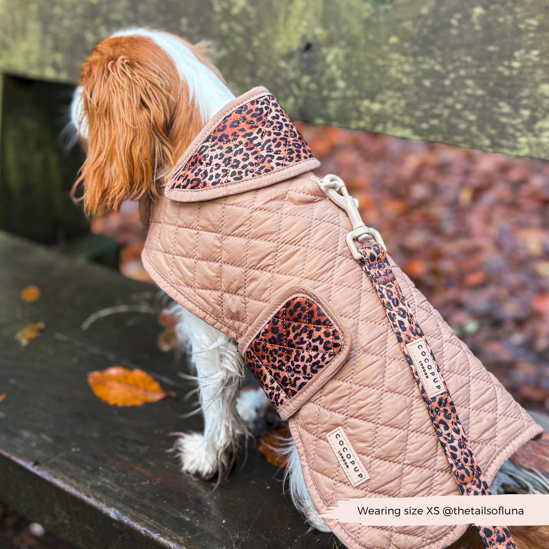Cappotto trapuntato per cani LUXE - Cucciolo leopardato