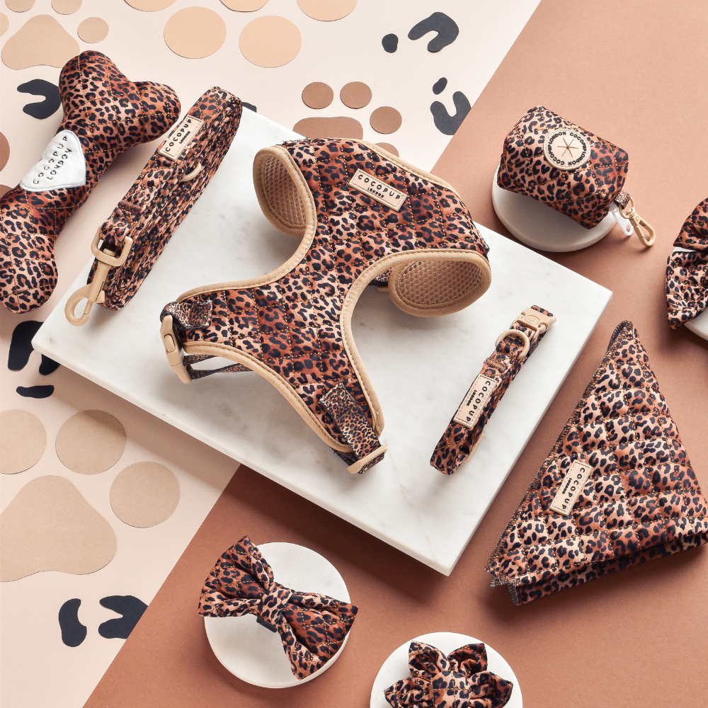 Guinzaglio trapuntato - cucciolo di leopardo