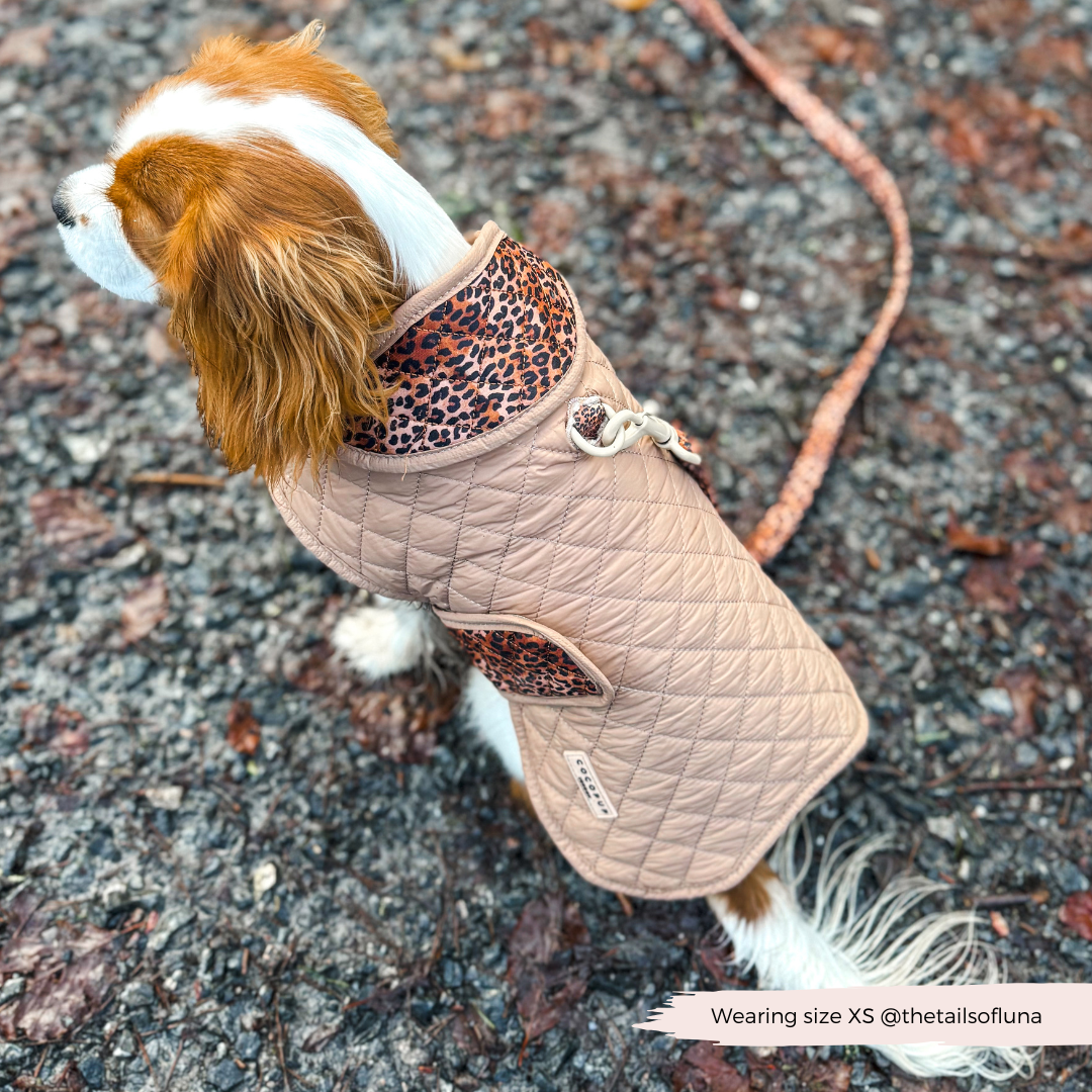 Cappotto trapuntato per cani LUXE - Cucciolo leopardato