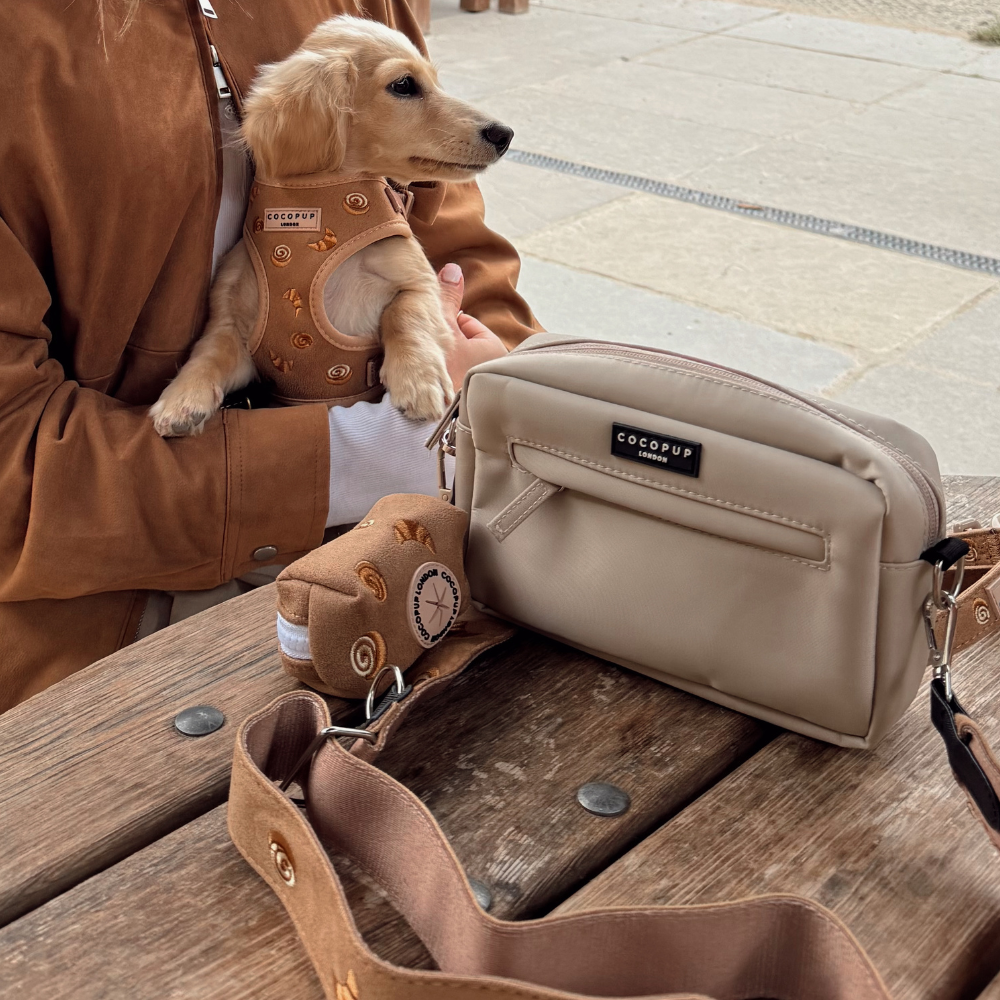 Pettorina regolabile - Pawtisserie