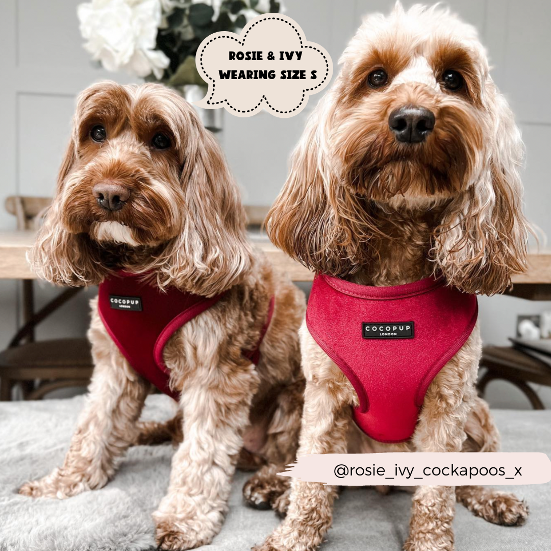 Pettorina da collo regolabile in velluto LUXE - Berry Red