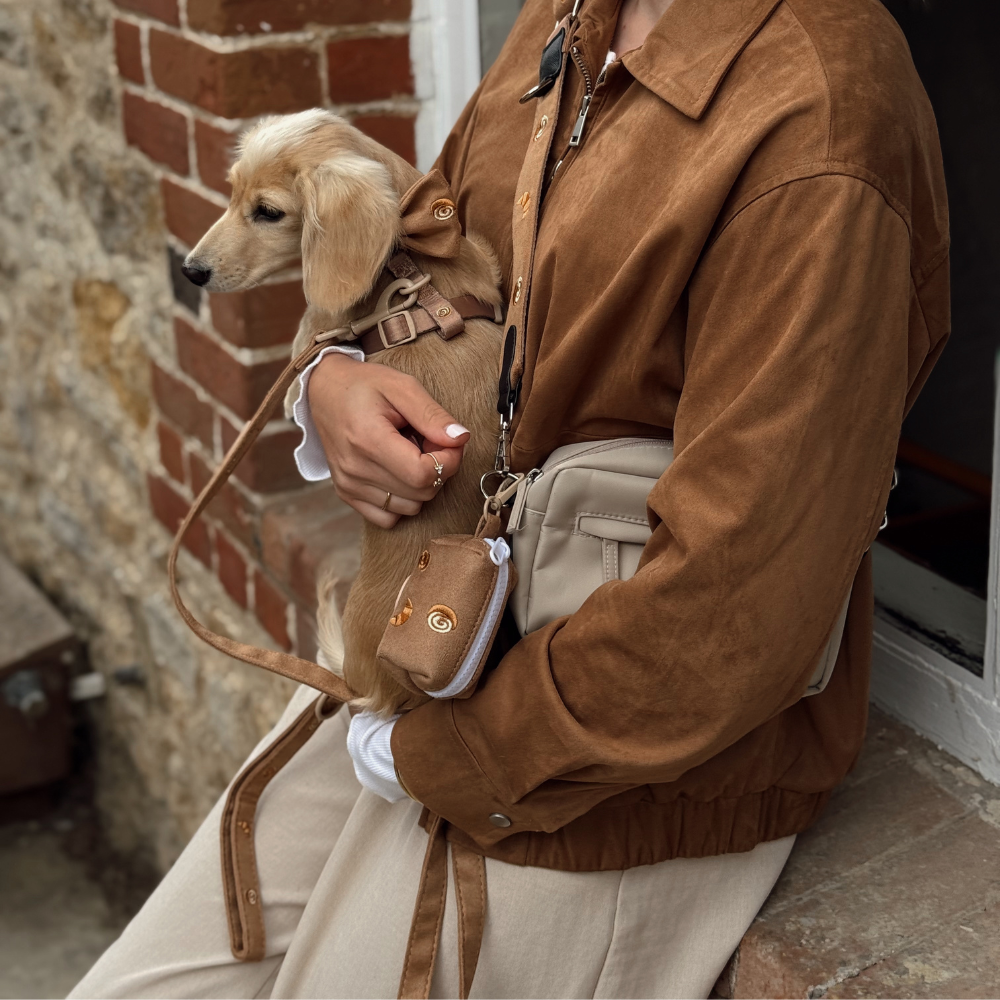 Guinzaglio Pawtisserie