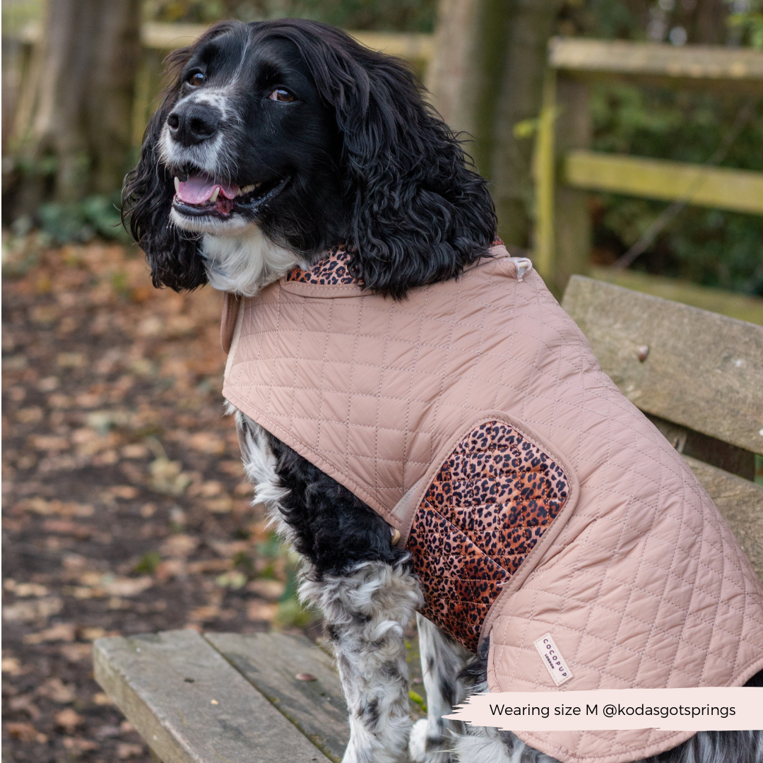 Cappotto trapuntato per cani LUXE - Cucciolo leopardato